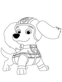 Dachshund Liberty PAW Patrol