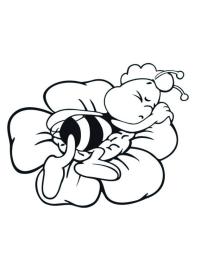 Willie the bee man sleeps