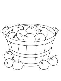 Basket with apples