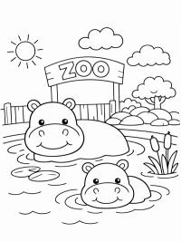 Hippos in the water