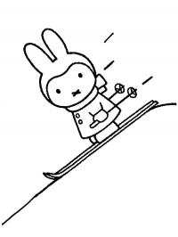 Miffy on winter sport