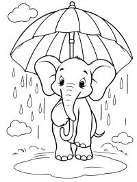 Elephant holding an umbrella in the rain
