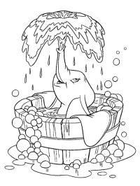 Elephant in bath tub