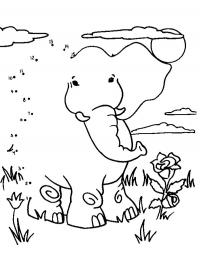 Draw an elephant
