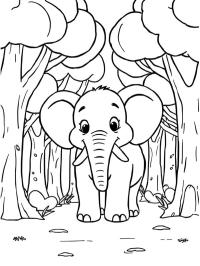 Little elephant in the forest
