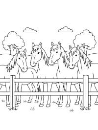 Herd of horses behind fence