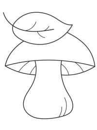 Mushroom and leaf
