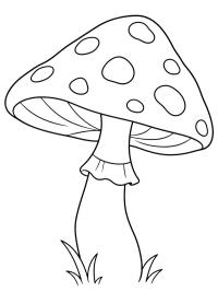 Spotted Mushroom