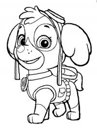 Paw patrol Skye