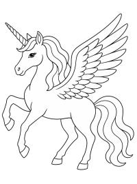 Pegasus Unicorn