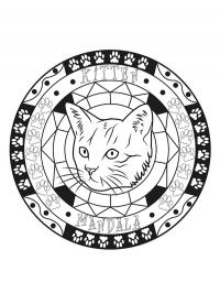 Cat mandala