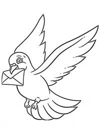 carrier pigeon