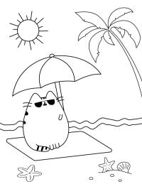 Pusheen on the beach