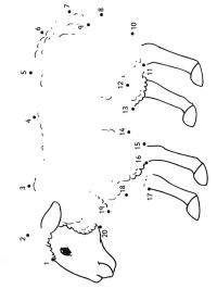 Sheep dot to dot