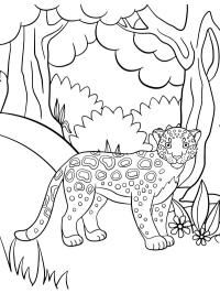Cute leopard
