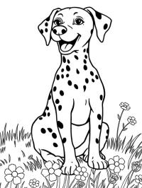 Cute Dalmatian