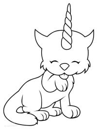 Cute unicorn cat