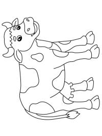 Cute cow