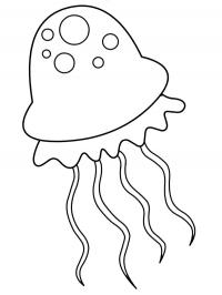 Cute Jellyfish