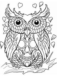 Skull owl