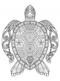 Turtle mandala tattoo