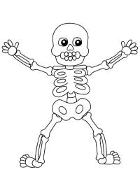 Halloween Human skeleton