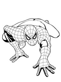 Spiderman crawls