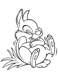 Thumper laughs