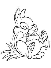 Thumper laughs