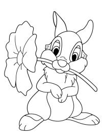 Thumper with a Flower