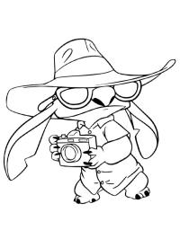 Stitch with a camera