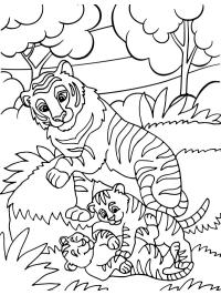 Tiger cubs