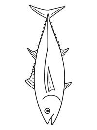 Tuna Fish