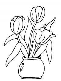 Tulips in a vase