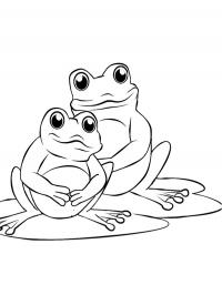 Two frogs