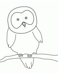 Simple owl