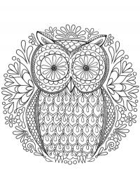 Owl Mandala