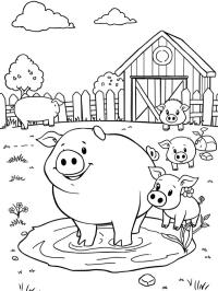 Pigs on the farm