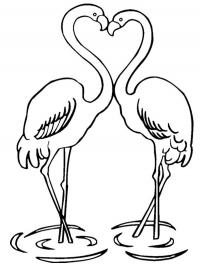 Flamingos in love