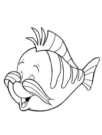 fish Flounder