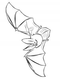 Realistic bat