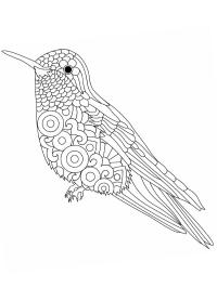 Bird mandala