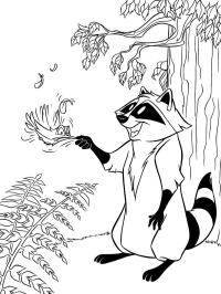 Raccoon Meeko and hummingbird Flit