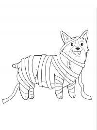 Corgi dog dressed up as a mummy