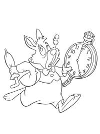 White Rabbit and its watch