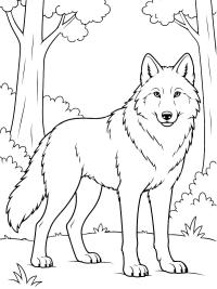 Wolf in the Forest