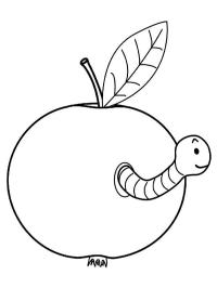 Worm in an apple