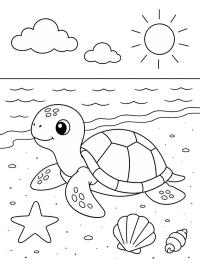 Sea Turtle on the Beach