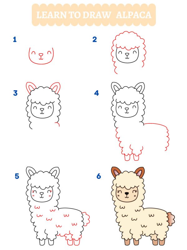 How to draw an alpaca