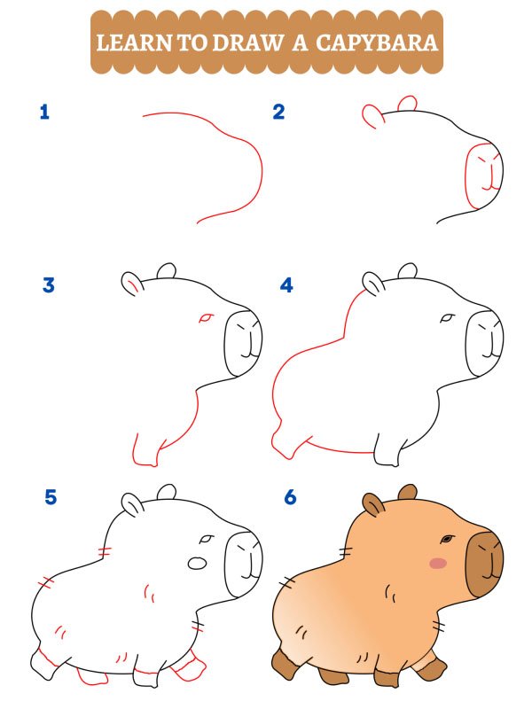 How to draw a capybara